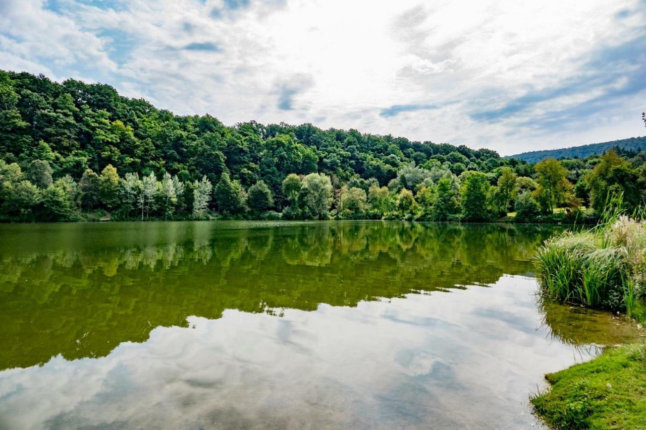 Villa In Seenahe Badesee Ehmetsklinge Zaberfeld Екстериор снимка
