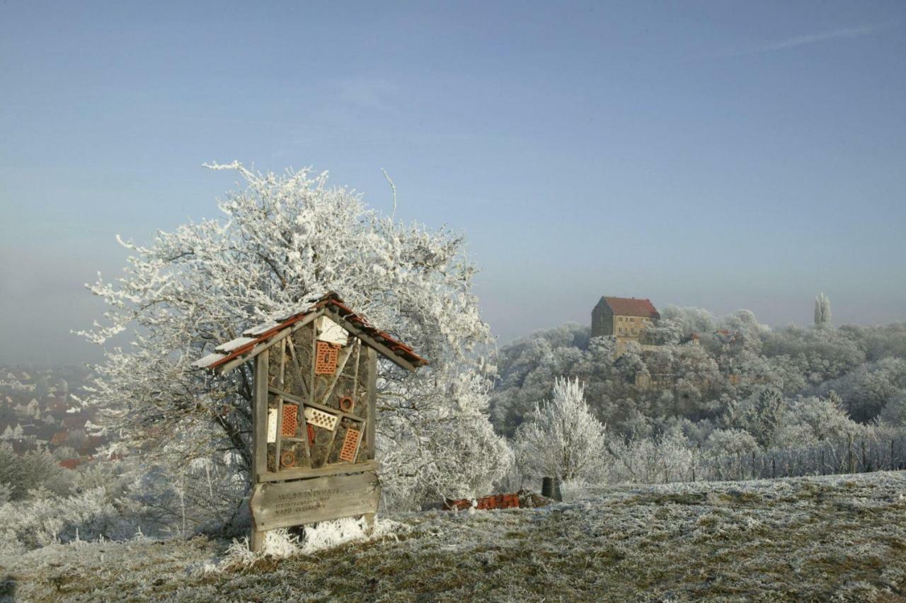 Villa In Seenahe Badesee Ehmetsklinge Zaberfeld Екстериор снимка